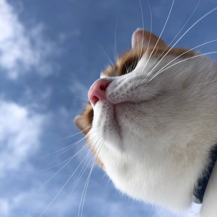 645367e7 2278 4d20 9aea 0f58a8945d60 1548467970783