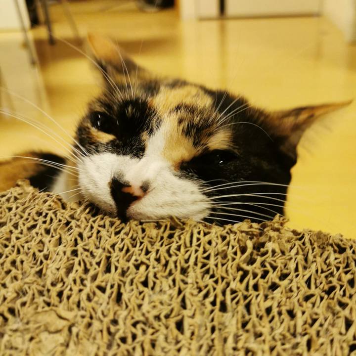 64537399 7c7a 42d8 bc8c 1a4daea90eea 1677815857495