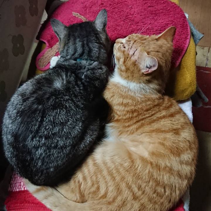 64538feb fa8b 448a aff9 5fad9cd2df18 1551006336546