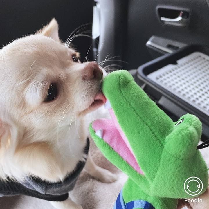 6453a681 8630 4662 812c 53be11b266e3 1600657376695