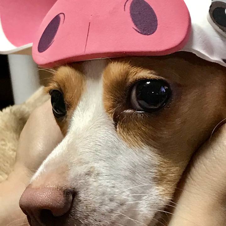 6453b173 ffab 4fe2 8412 8e210371241d 1563807036249