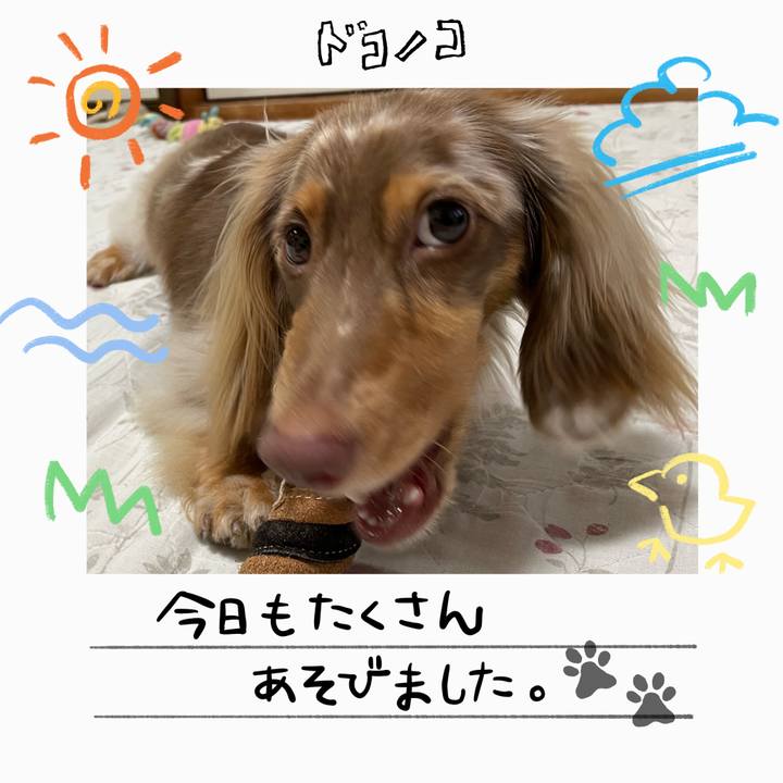 6453bd3a 6560 44d2 a1b8 610b7a1a0b1d 1755122863042