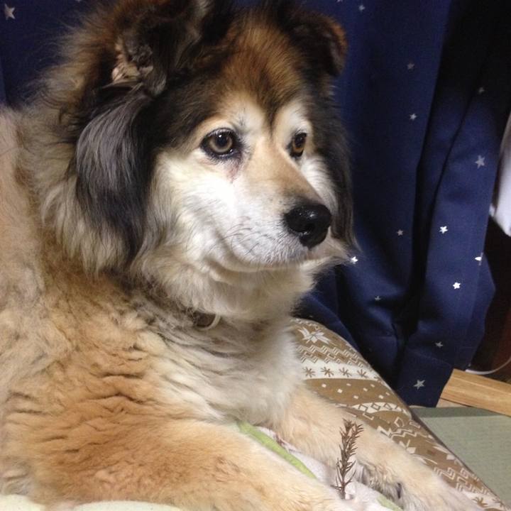 6453bdbd 1de0 4c67 ac26 65f4c112bc62 1551308649977