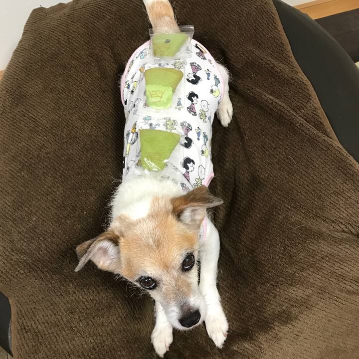 6453cac4 c4dd 4b77 a2fc 1242518c3f6b 1656499206781