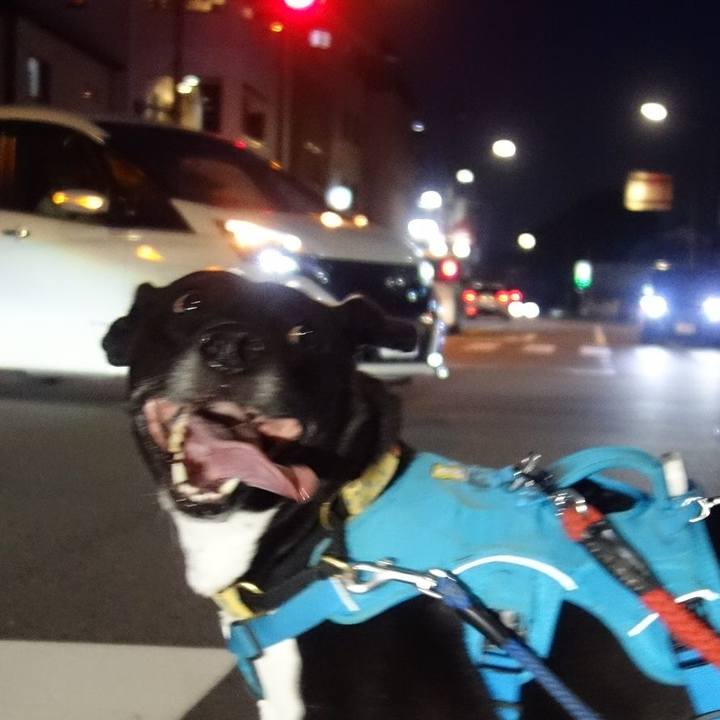 6453e45f bf30 41e8 8d35 ecc11640d219 1631451876262