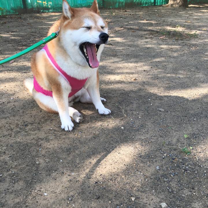 6453f443 56e0 43a8 b1a3 ce0dbd72a63b 1598053342674