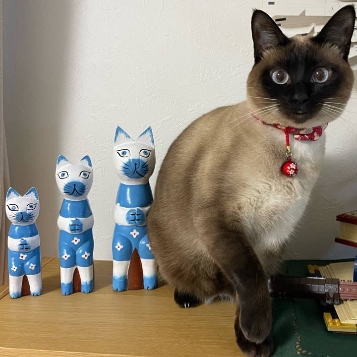 645403fd c971 4332 bc68 a94c33f041df 1770930897562