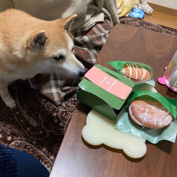 645413ed bd06 41fd 9cd5 53efe28197d0 1615554676791