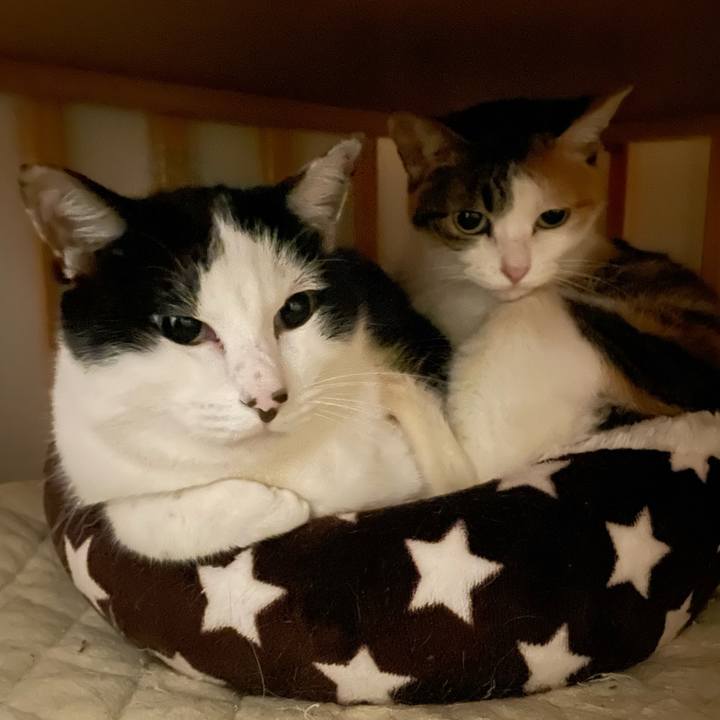 645415e1 732b 4c24 9a64 78c629771728 1674149608213