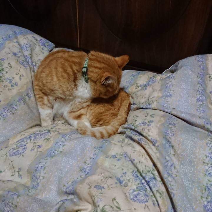 6454308f 7e49 4956 acb0 81ef53348d42 1583836874295