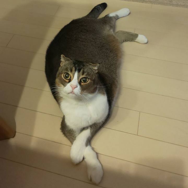 6454321e c207 4096 8bc9 0de12cea65e7 1610839292348