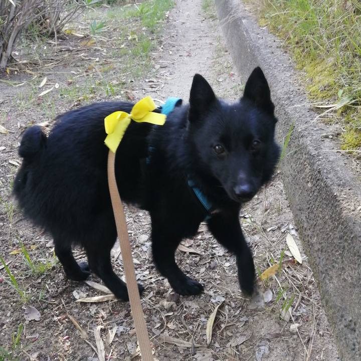 64548380 6f30 460c bf7e a1640d0cdba0 1654724768470