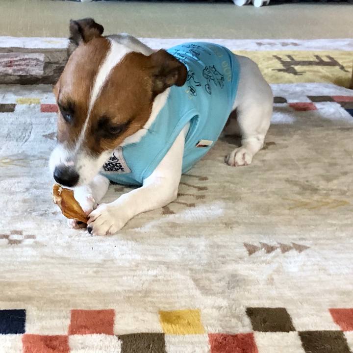 6454a95f bef8 4e81 9410 3760da0793d5 1597034744637