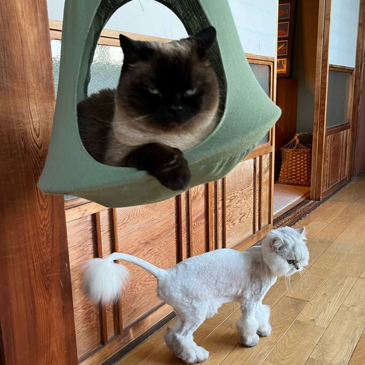 6454dc93 b05c 40da 8dbe 3690112da63a 1714813267599