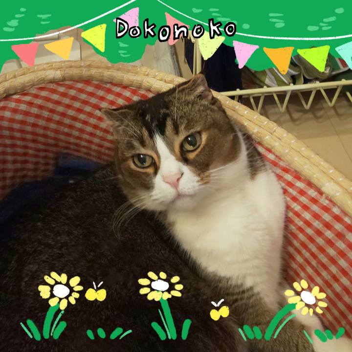 6454fc82 4283 4e29 be54 d99851178ce7 1711061261455