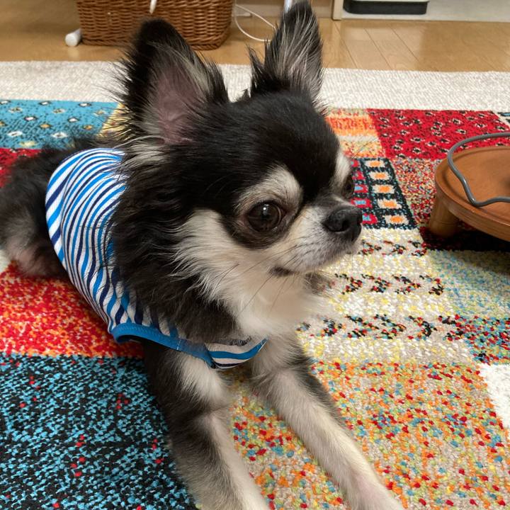 6454fce6 c21c 41d7 809c 948f75cbfa9d 1687660318490