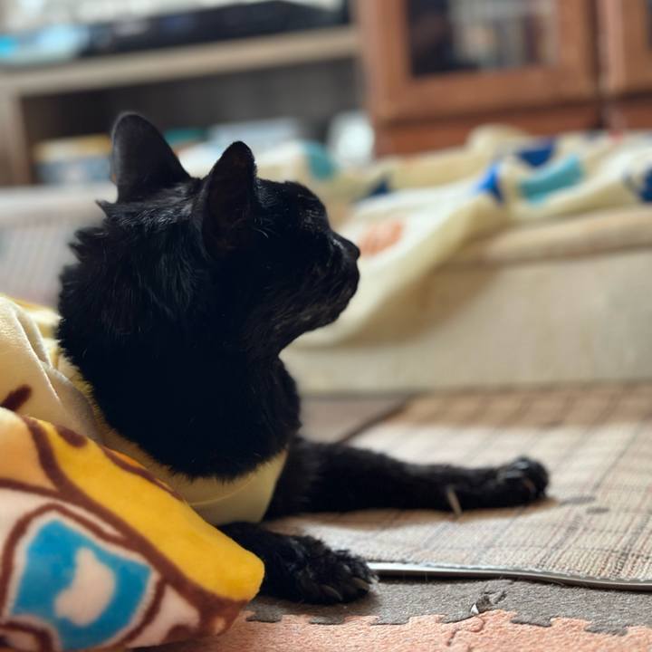 645505c7 af8c 4bfb 9eab 024b35050f1d 1723689117618