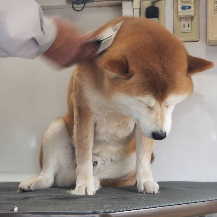 645506ea e2ea 431a 811a 28dac53cef23 1585437659444