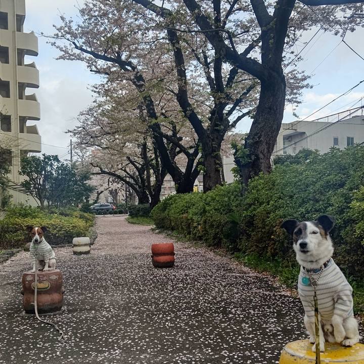 64551165 f679 4bb5 9e3c 943170649560 1680129356892