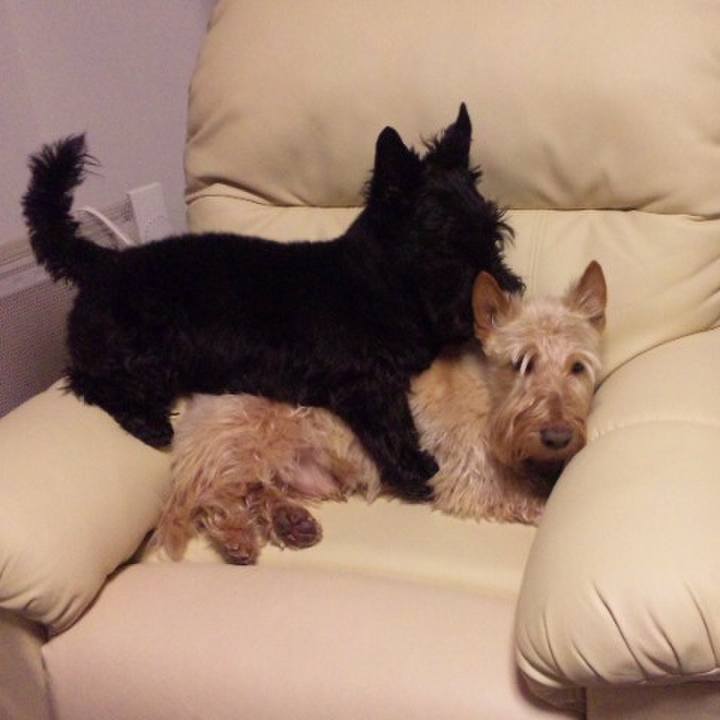 64553856 5f94 46f7 a93a b7d0d6bbf656 1558581872624