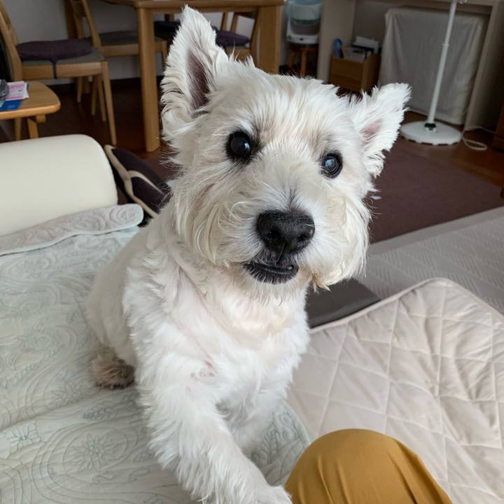 645546bf 63cc 4f21 9458 b4ada2bd750c 1661846805458