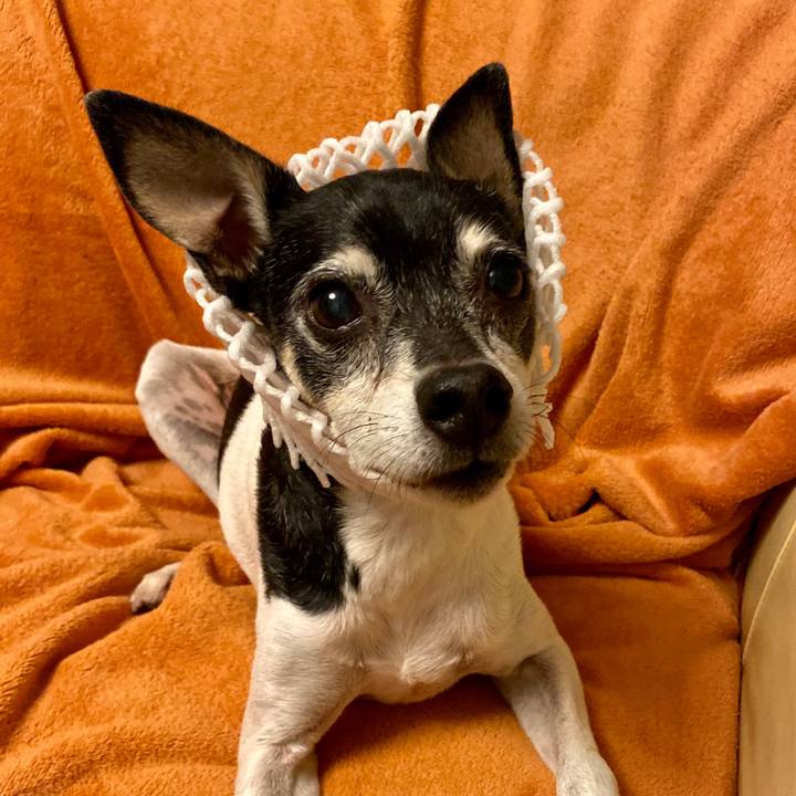 645563ab 2eb1 476f b563 0f5a3219065a 1606906969632