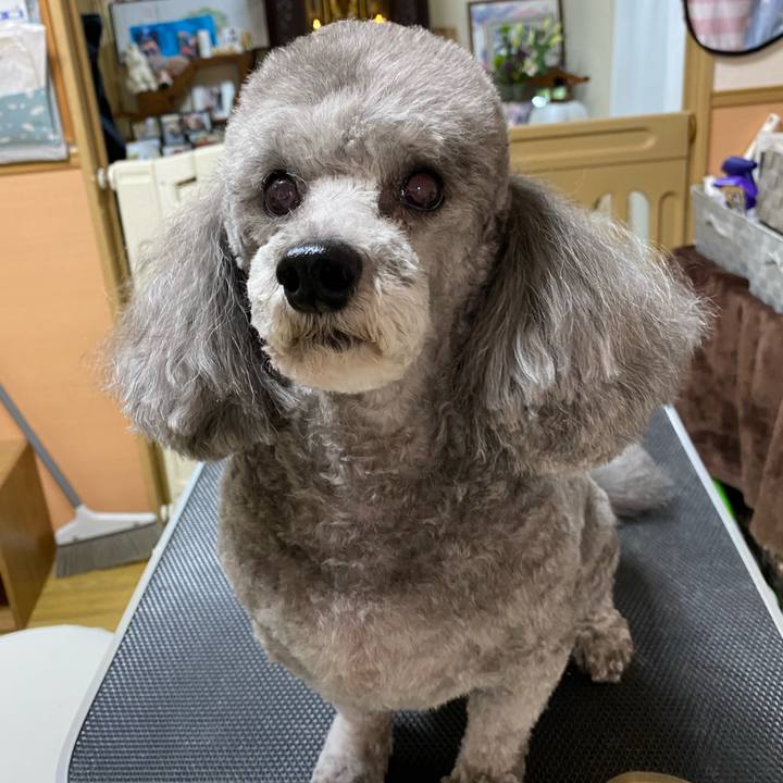 64558944 12ba 4671 84da 3130b037097e 1640936490987