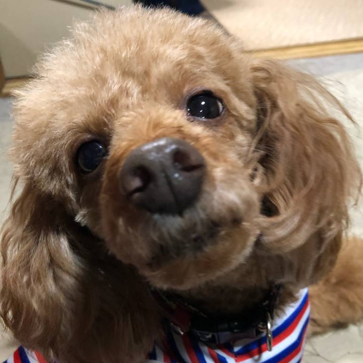 6455ab5a 9d5e 49c2 9d23 1201e0d77d4a 1622807780734