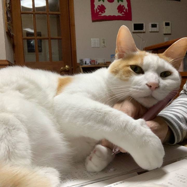 6455d2df 0cfb 4643 ae1d 3fe4ad158018 1586093620424