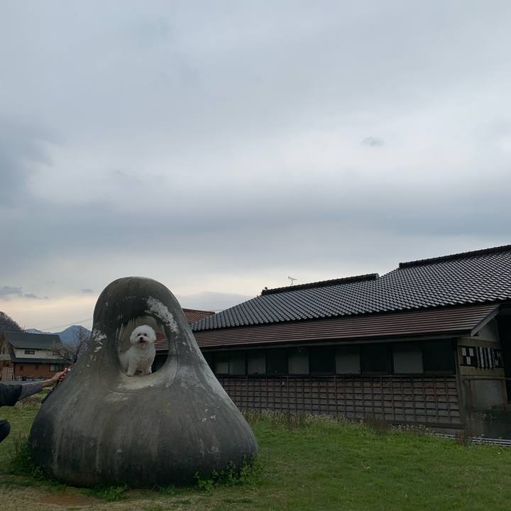 6455d857 a189 4e59 9c9e 6ca029334e8a 1555417238259