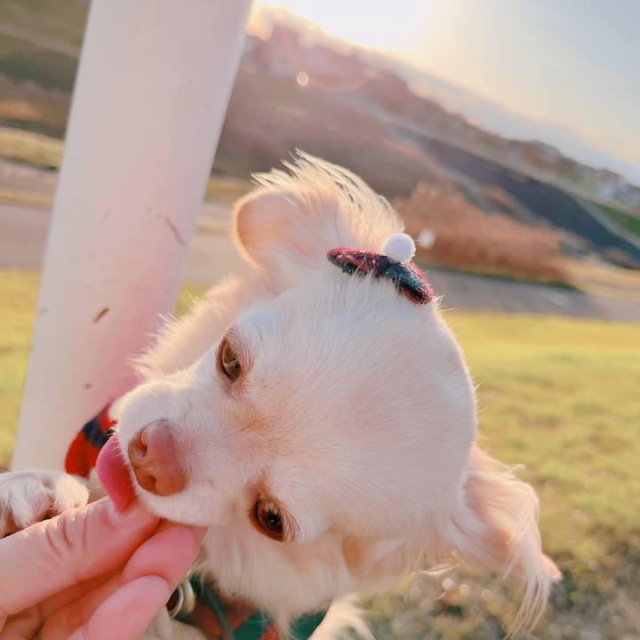 6455e134 ab7d 4e36 b64f 3abb17917d96 1674026615425