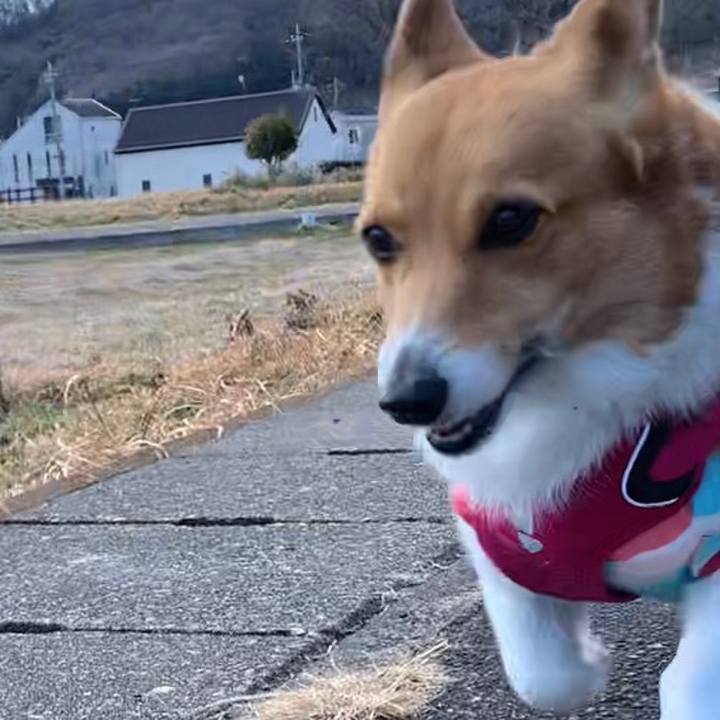 64562321 92ef 49f7 bdda 4f5e93628435 1645943671474