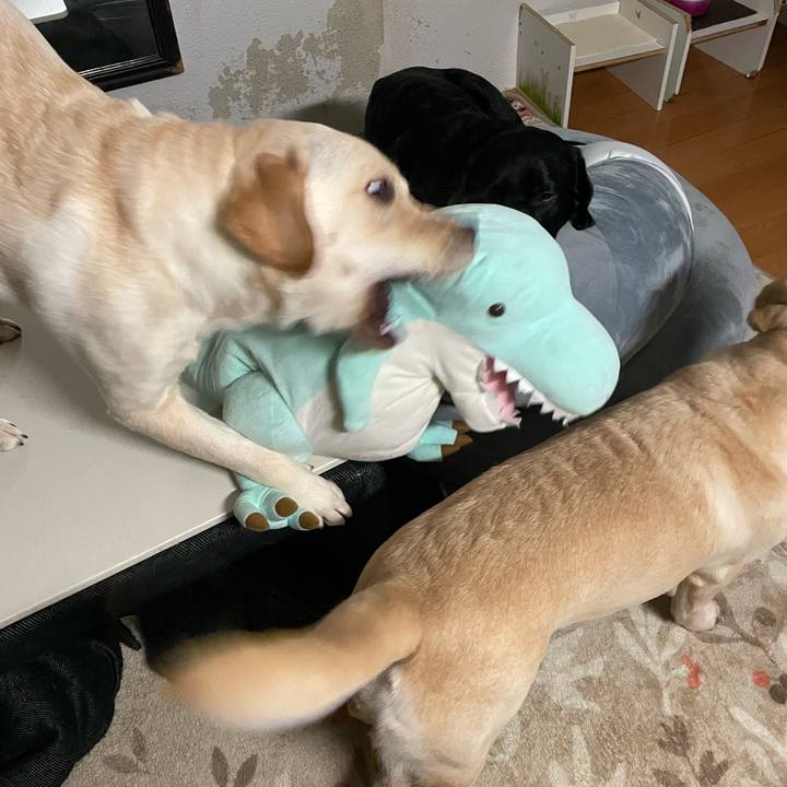 6456281d 9f5e 48a5 9f6c 0e9a5366379d 1641507381230