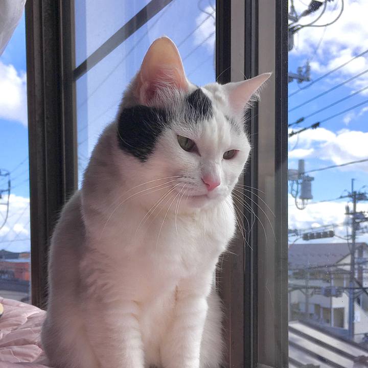 645628d5 5616 4943 ba1c 9525450bce60 1582787167935