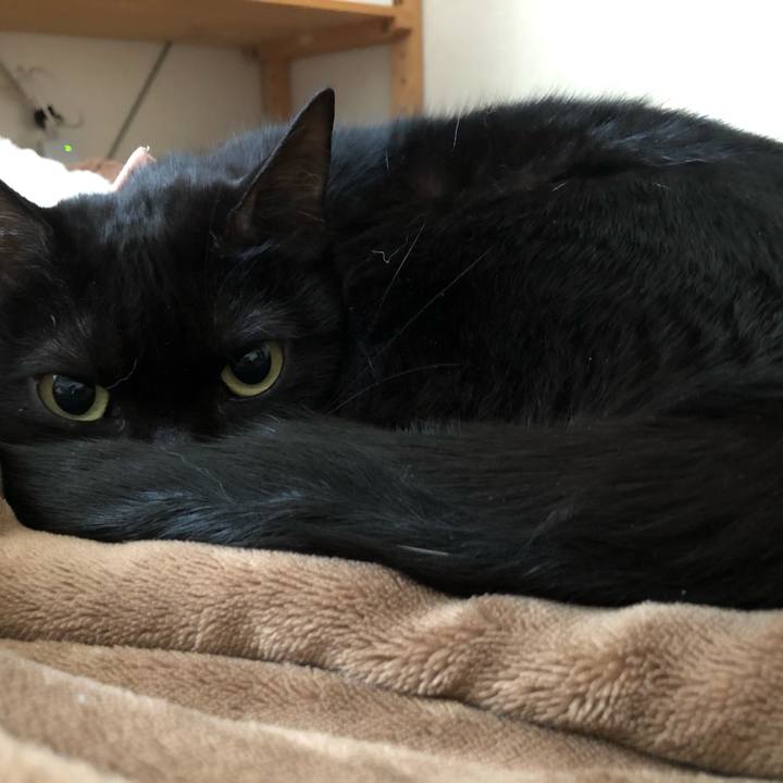 645644eb 8bd9 427f acac 028e48ab6a52 1587526195512