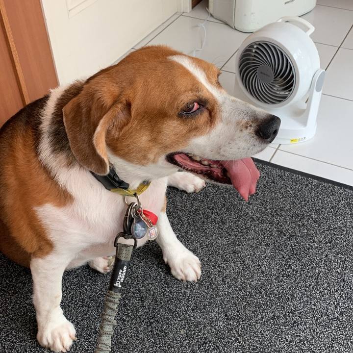 64568356 2d6a 4ab9 949e 6dabdae538e8 1688872718299