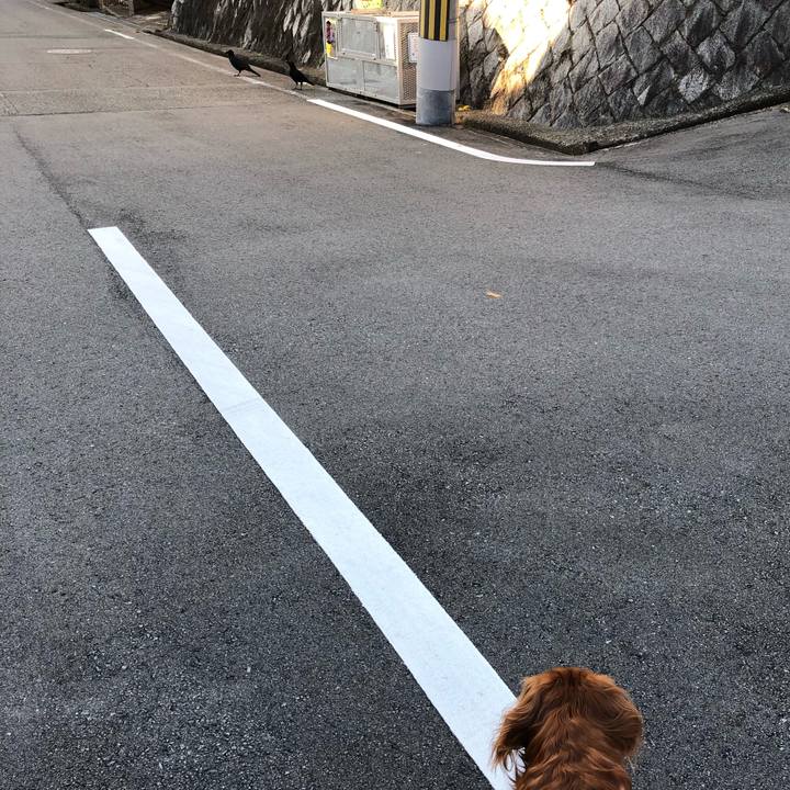 6456a178 2220 4d83 899c 03ee45e9e0b2 1607170365852