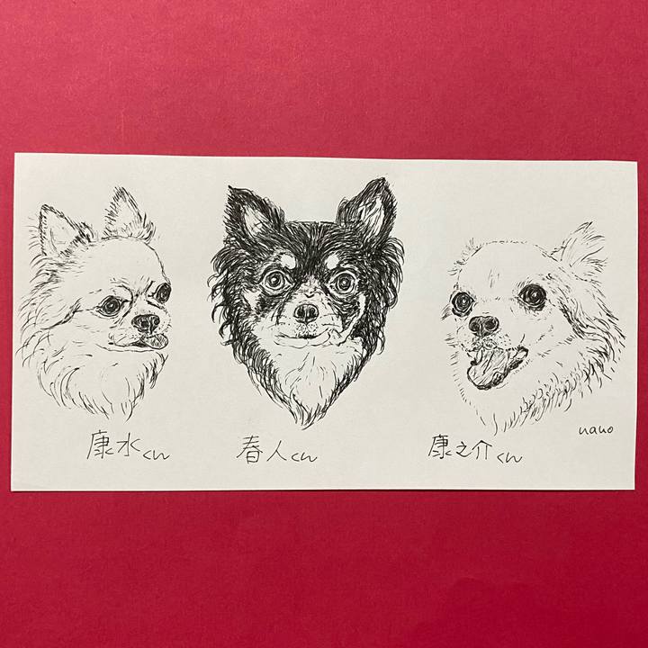 6456ae05 faba 4bac 9876 229294795ef0 1633774114007