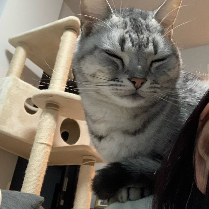 6456b4c8 852c 44bb b336 7e038f2a493f 1643623581799