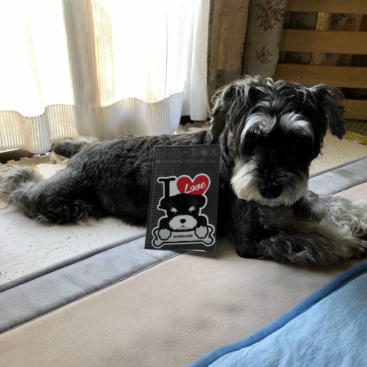 6456ebe3 9177 4f7c a8d2 6216614ef078 1659664725412