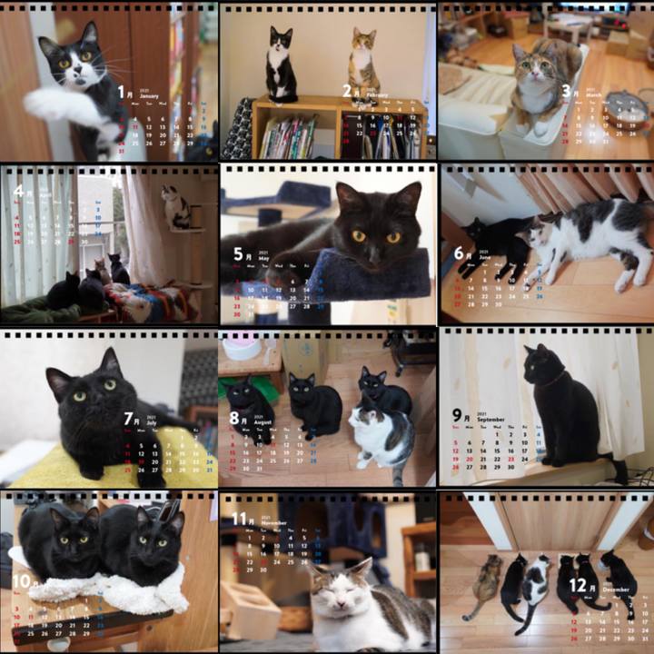 64570886 487c 4541 8b65 ba30ea121c00 1602649602140