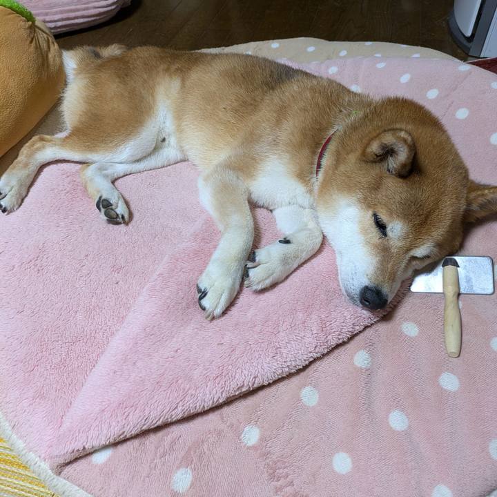 64571004 cc60 490e 8e44 a89d3d440318 1752153889175