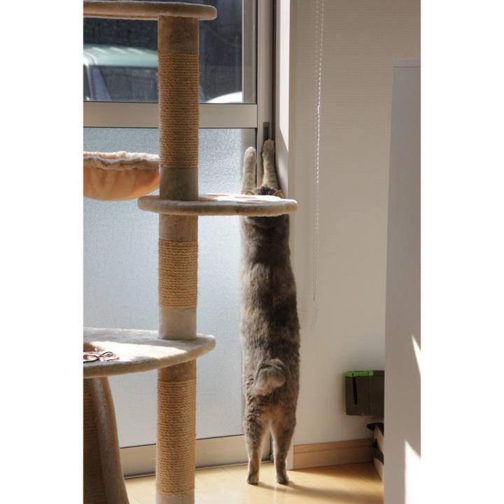 64572b73 6318 47f3 a332 9d63ca02ca70 1590662551507