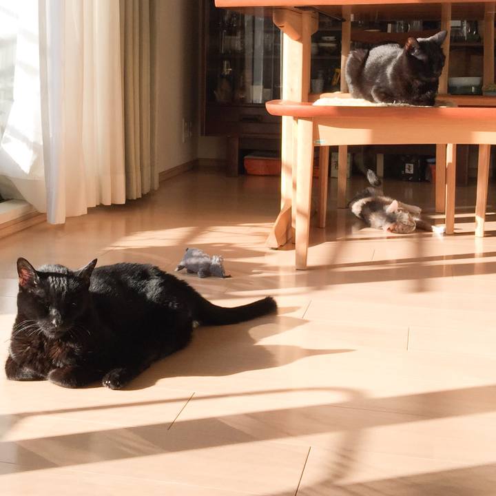 645731b0 e3d9 4abd 8d4e 30228dc2cba7 1520147194341