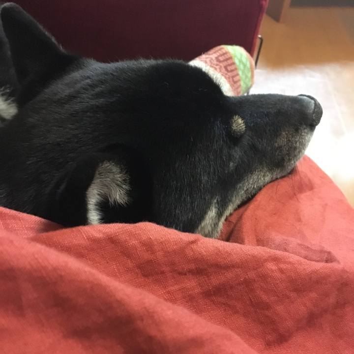 645737aa b60f 43a8 99f8 42c6338f1286 1529243104150