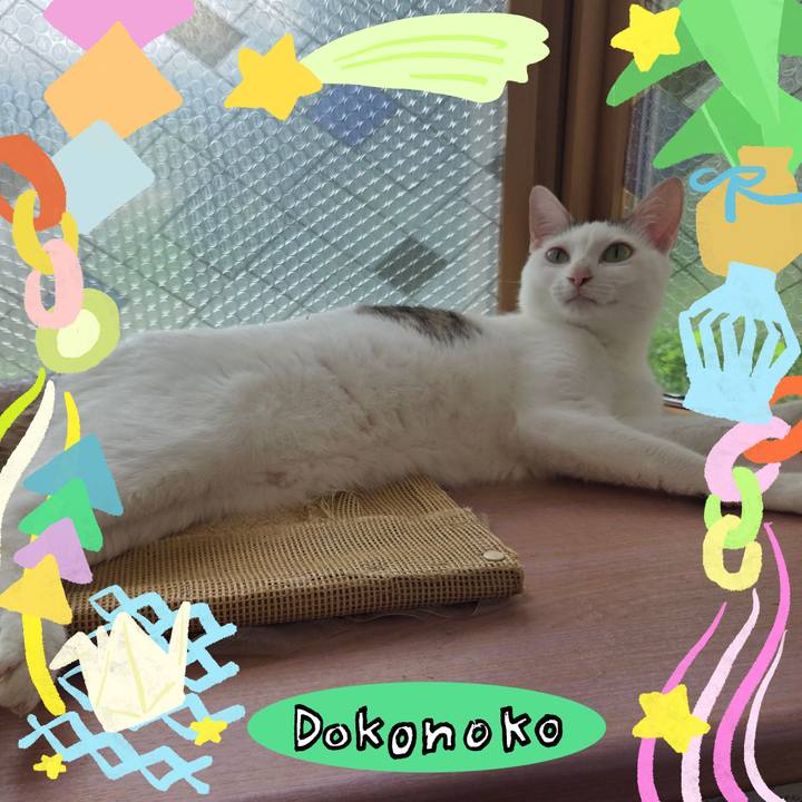 64576b58 49e8 4a98 b1fb f726262a77c0 1755079442381