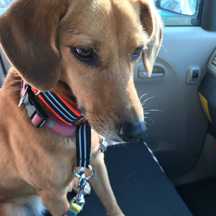 645782c0 f7e4 4b27 8e2c ab7dba274eee 1511086945446