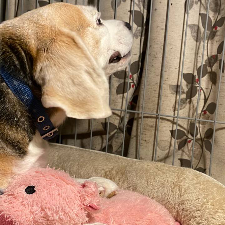 6457c38a ad71 4f4e b579 ba8f539be4ef 1618233947963