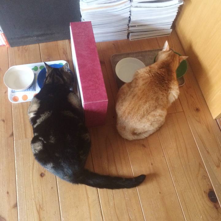 6457e5e8 a944 4e56 a0da da81405174c6 1582330082775