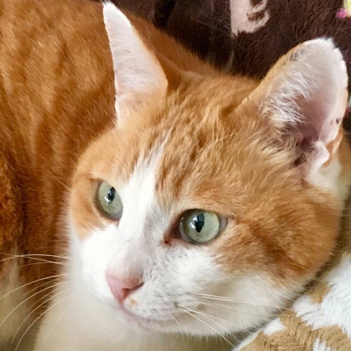 64580038 55eb 4a40 b3fc 5f356a07fb6e 1556401560095